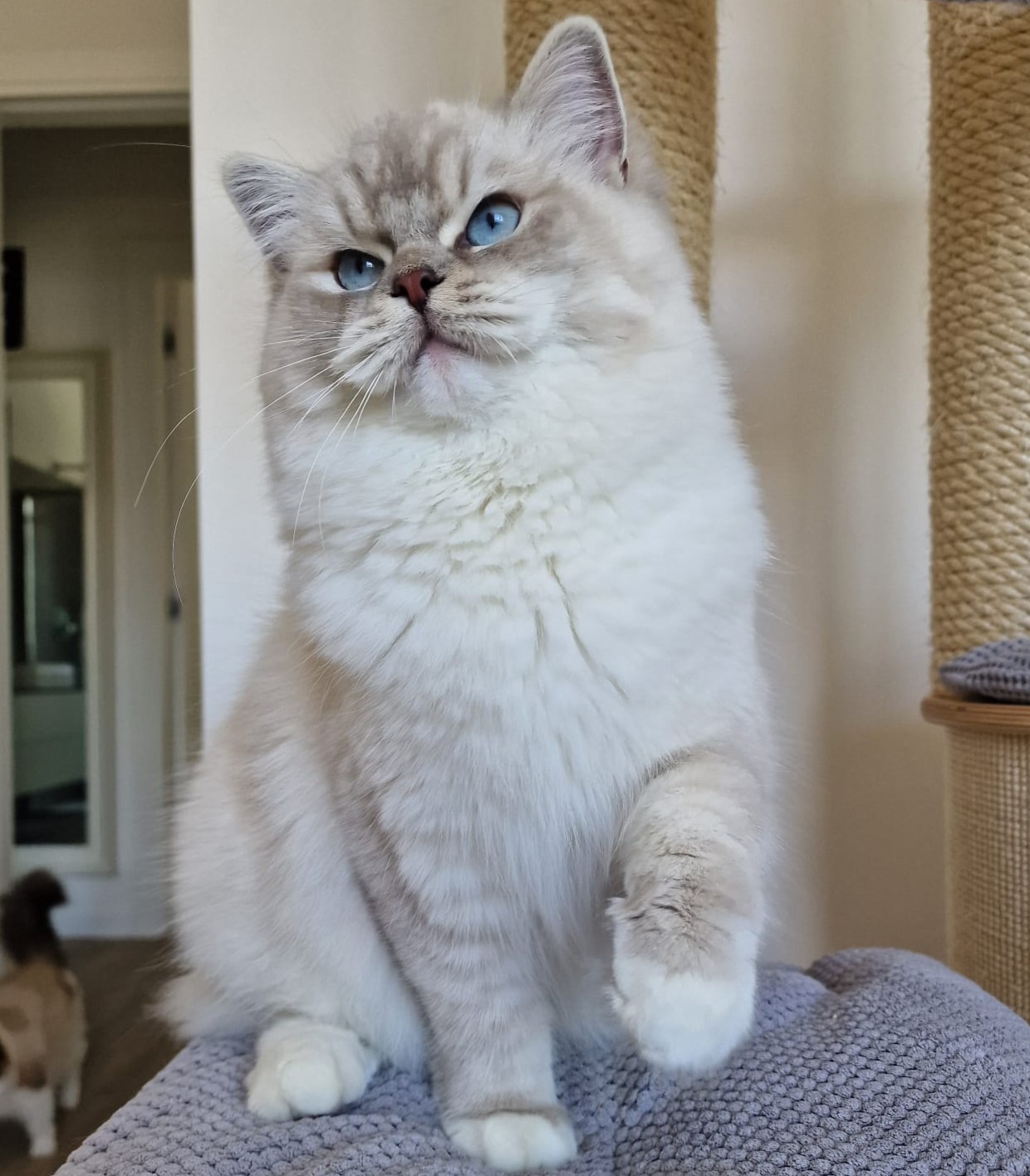 Immagine WhatsApp 2024-09-19 ore 12.45.32_e6f05282